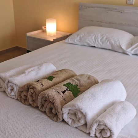 Sithonia Lodge Metamorfosi  Zewnętrze zdjęcie